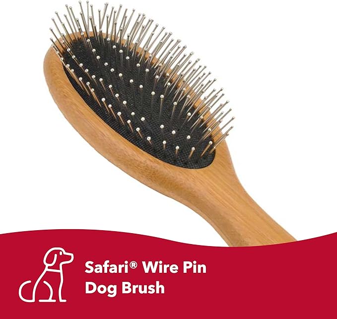 Coastal Pet Safari Wire Pin Dog Brush with Bamboo Handle - Large - General Dog Grooming Brush for Short and Long Hair - Eco-Friendly Handle
