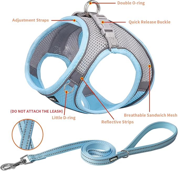 AIITLE Step in Dog Harness and Leash Set - Spring No Pull Escape Proof Vest Harnesses with Soft Mesh and Reflective Bands, Adjustable Pet Outdoor Harnesses for Small and Medium Dogs Blue M