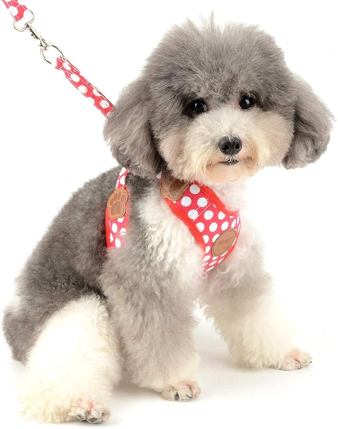 SMALLLEE_LUCKY_STORE New Soft Mesh Nylon Vest Pet Cat Small Medium Dog Harness Dog Leash Set Leads Red, M Chest:11.5"-15.5",Weight 6.5-11lbs (CWYP00068-Red-M)