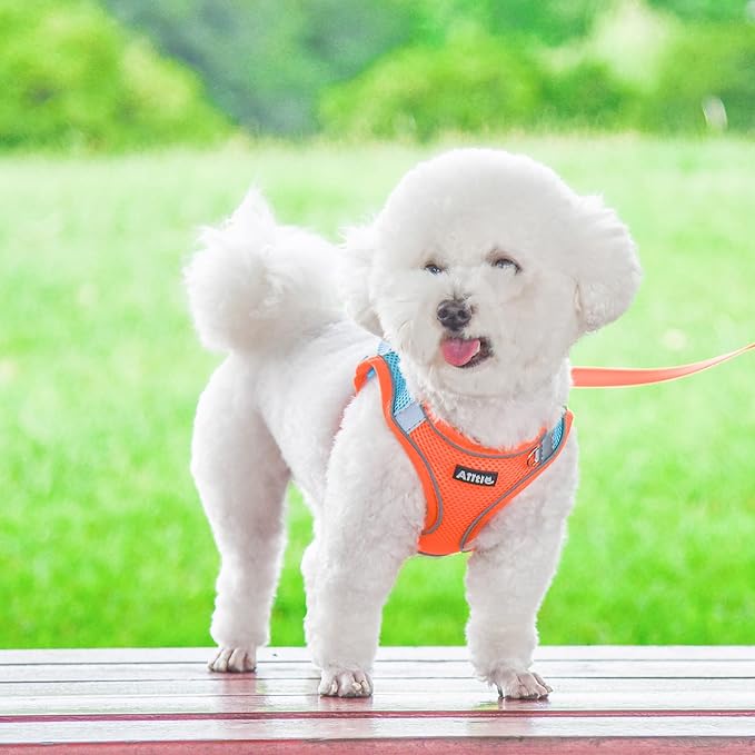 AIITLE Escape Proof Dog Harness - Step in Adjustable Dog Harness No Choke Over with Breathable Mesh and Quick-Release Buckle for Spring- Outdoor Walking, Camping, Training for Medium Dogs Orange XL