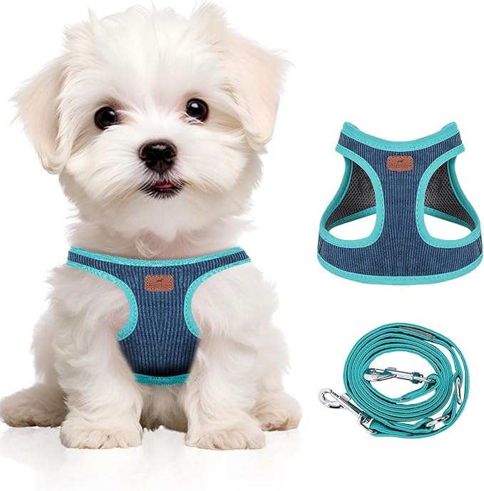Dog Harness with Multifunction Dog Leash,No Pull Reflective Step-in Harness for Soft Adjustable No Choke Escape Proof,Easy Walk Dog Harness for Puppy,Small Dogs (Blue&Green, XXS)