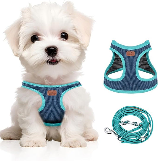 Dog Harness with Multifunction Dog Leash,No Pull Reflective Step-in Harness for Soft Adjustable No Choke Escape Proof,Easy Walk Dog Harness for Puppy,Small Dogs (Blue&Green, XXS)