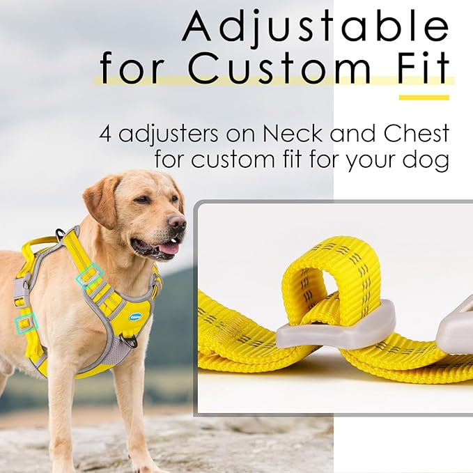 ThinkPet No Pull Harness Breathable Sport Vest with Handle-Dog Harnesses Reflective Adjustable for Medium Large Dogs