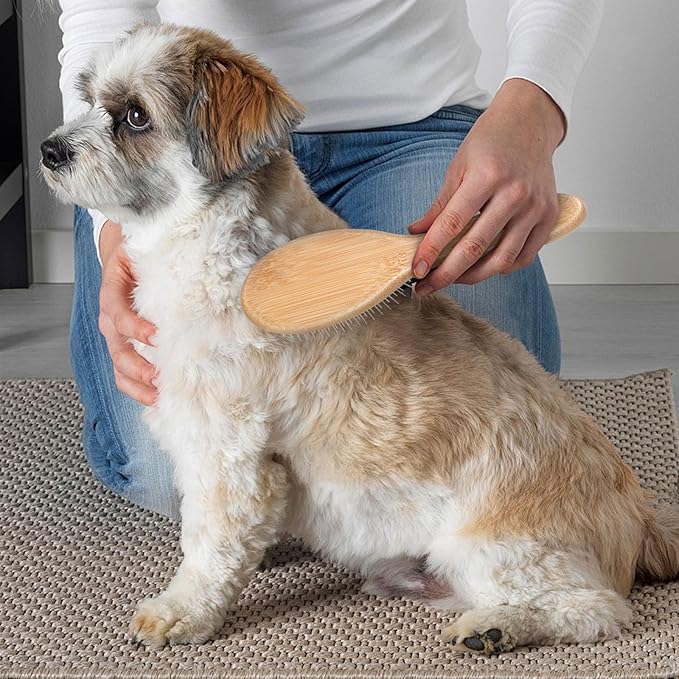 cobee Stainless Steel Pin Dog Brush, Bamboo Handle Grooming Brush 20mm Round Pins Airbag Pet Comb Professional Dog Pin Brush Fur Shedding Comb for Long or Short Hair Cat Dog