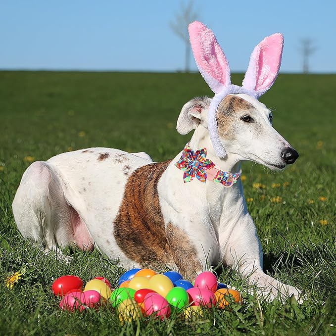 Unique Style Paws Easter Day Dog Collar with Bow Colorful Egg Rabbit Dog Collar Bowtie Bowtie Collar for Large Medium Small Dogs