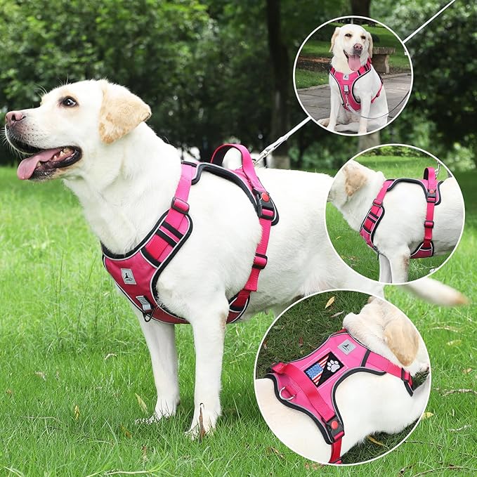 Service Dog Harness, No Pull Pet Harness with 2 Leash Clips, Reflective Adjustable No Choke Dog Vest with 5 PCS Patches,Vest Harness with Easy Control Handle Walking,Hiking,Training