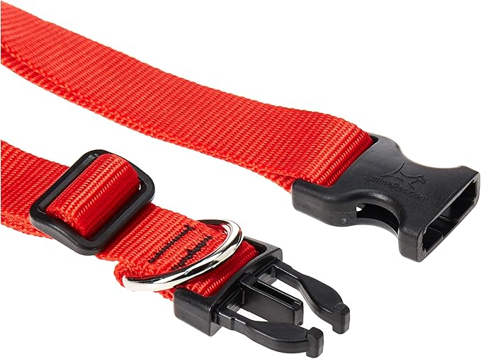 LupinePet Basics 1" Red 16-28" Adjustable Collar for Large Dogs