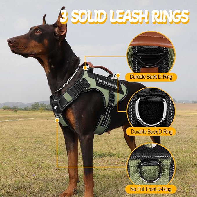 Tactical Dog Harness - HEYCAHVA Service Dog Vest Full Metal Buckles Dog Vest for Medium Large Dog Reflective No Pull Dog Harnesses Vest with Leather Handle, Hook & Loop for Hiking Training (Green, M)