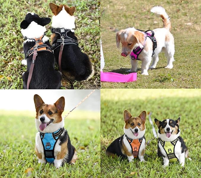 PoyPet No Pull Dog Harness, No Choke Front Clip Dog Reflective Harness, Adjustable Soft Padded Pet Vest with Easy Control Handle for Small to Large Dogs(Black,M)
