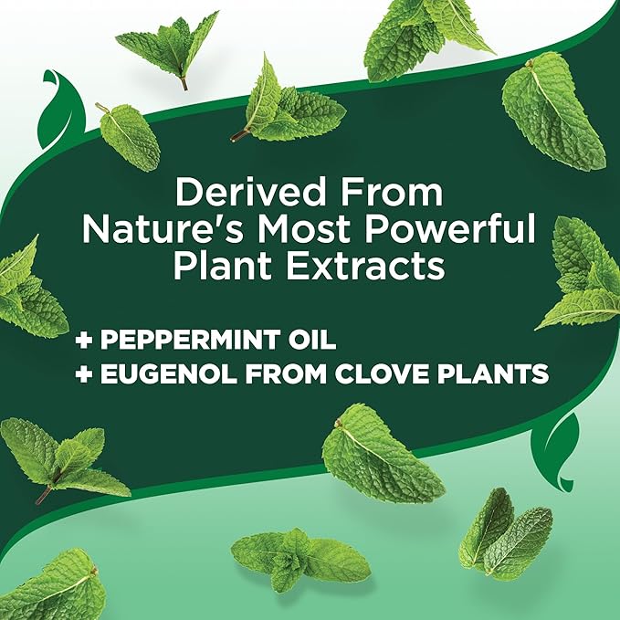 Vet's Best Flea and Tick Wipes for Dogs, Dog Wipes for Kennel, Flea and Tick Prevention, Plant-Based Formula, Pet Essentials, Made in USA, Certified Natural Oils, 50 ct