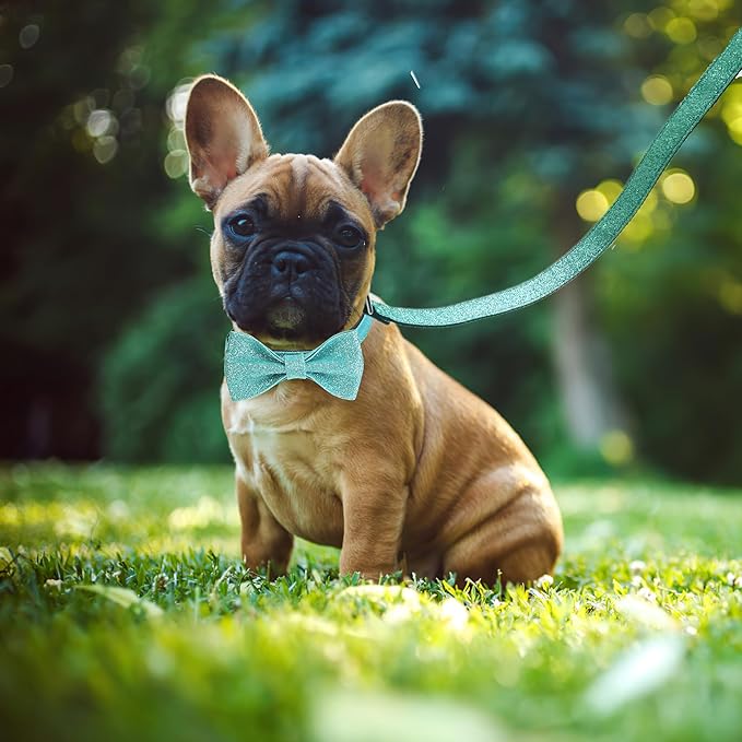 Bling Bow Tie Dog Collar and Leash Set, Cute Teal Boy Dog Collar with Bow and 5ft Leash for Small Medium Dogs Daily Walking or Christmas Holiday (Neck fit 11-16’’)