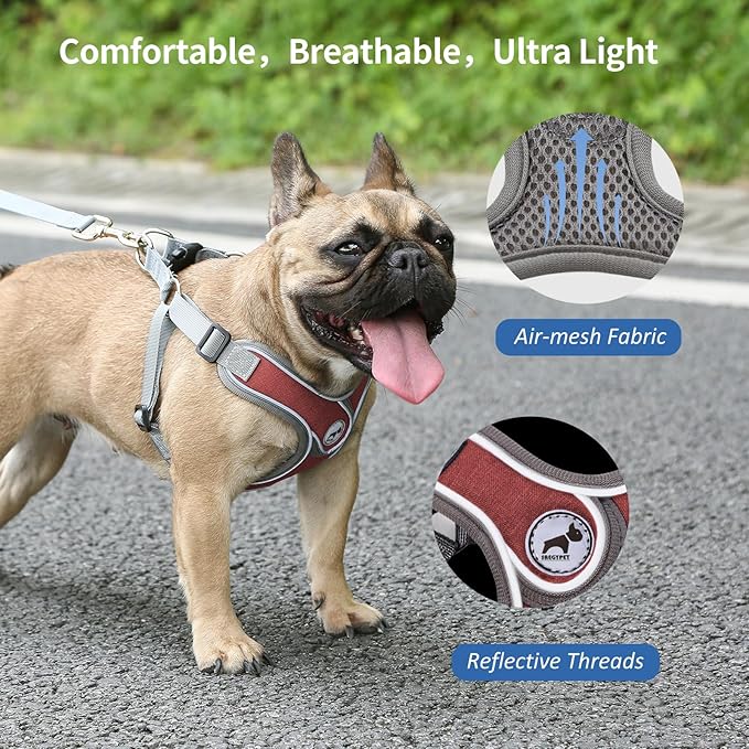 Dog Harness with Leash Set, No Pull Adjustable Step in Dog Collars Frenchie Harness Vest Harness for Small Medium Dogs Walking and Running(S, Red)