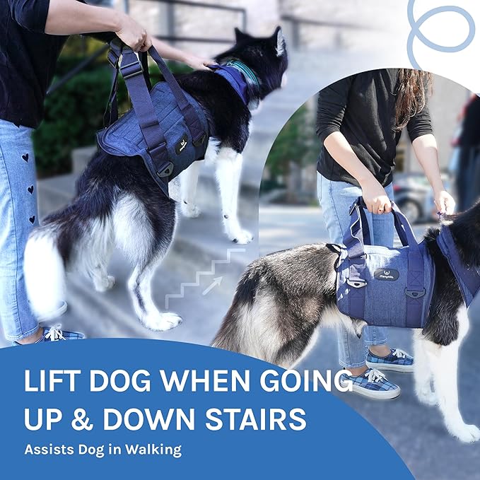 Dog Lift Harness and Carry Sling: Large Pet Rehab Vest w/Front & Rear Handle & U-Shaped - Hind Leg Support-Assist Disabled, Injured, Aged/Elderly Dogs with Mobility- Arthritis, Up & Down Stair (S)