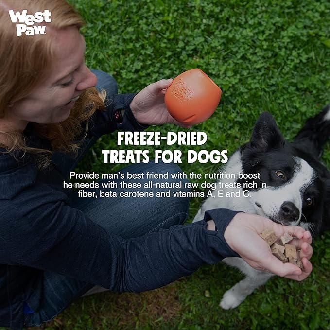 WEST PAW All-Natural Raw Freeze-Dried Dog Treats – Farm-Fresh Duck Training Treats for Dogs with Fiber, Beta Carotene, Vitamins A, E, C – Wholesome Canine Treat for Puppies, Senior Dogs – 2.5 Oz. …