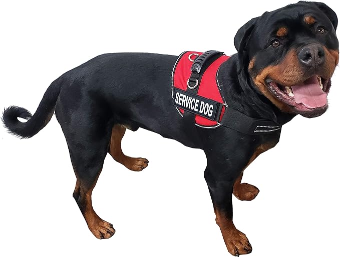 ActiveDogs Air-Tech Service Dog Vest Harness Vest, Large Girth 25"-35" w/Handle, ADA Cards + Reflective Service Dog Patches - Red