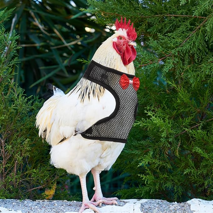Balacoo Chicken Harness - Chicken Traction Rope Elastic Breathable Adjustable Pet Harness Vest Washable Xmas Pet Set for Chicks, Geese, Hen, (Black M)