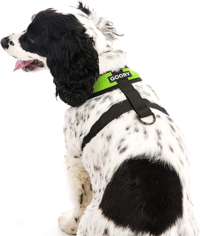 Gooby Comfort X Head In Harness - Green, Large - No Pull Small Dog Harness, Patented Choke-Free X Frame - Perfect on the Go Dog Harness for Medium Dogs No Pull or Small Dogs for Indoor and Outdoor Use