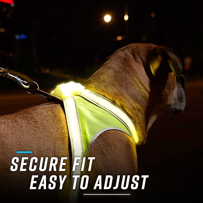 Noxgear LightHound - Multicolor LED Illuminated, Reflective Dog Harness (Medium)