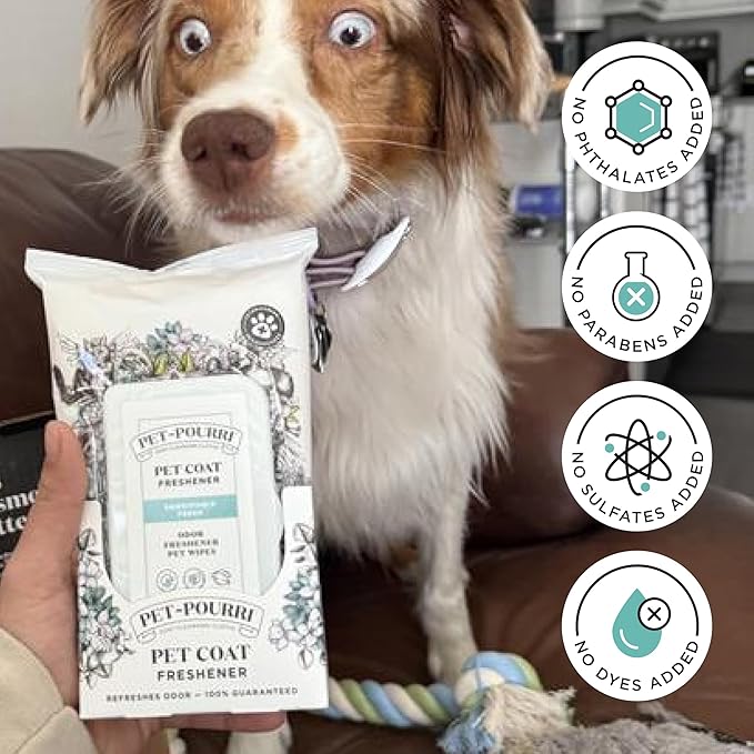 Pet-Pourri Pawsitively Fresh Deodorizing Pet Wipes – Quick Cleaning Wipes for Dogs & Cats – Plant Based Ingredients – Vet Recommended – Cleaner Odor Remover Wipes for Paw, Fur & Skin Soothing