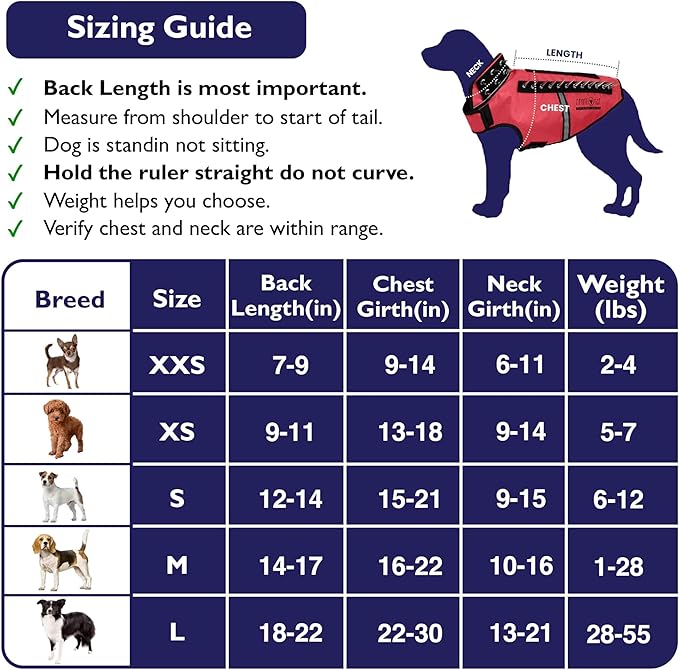 CoyoteVest SpikeVest Dog Harness Vest for Small Dogs, Reflective Dog Vest with Spikes to Shield Your pet from Coyotes, Raptor and Animal Attacks, Anti Hawk Vest, Made in USA (S-Red)