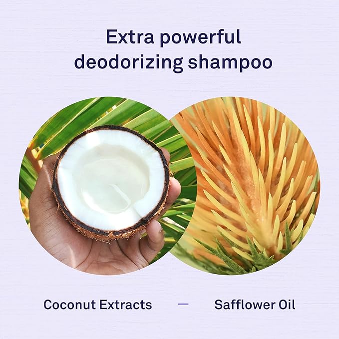 Petpost | Ferret Shampoo - Powerful Deodorizing Shampoo for Ferrets and Small Animals - Naturally Effective Healthy Skin & Coat Formula (8 oz., Shampoo)