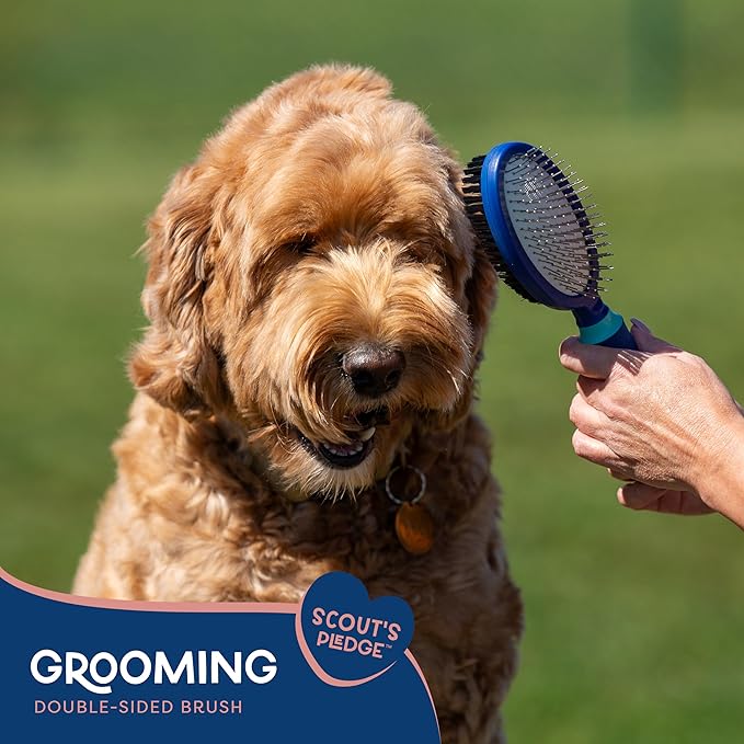 Good Scout 2-in-1 Pin & Bristle Deshedding Tool for Dogs & Cats, Gentle & Effective Dematting Brush for Long & Short Haired Pets, Pet Grooming Tool for Shedding, Tangles, and Knots