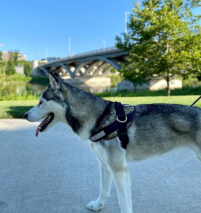 ShawnCo Essential Dog Harness, No-Pull Pet Vest with 3 Leash Clips, No Choke, Reflective, Adjustable and Padded, for Easy Walking and Training for Small, Medium and Large Dogs (Military Camo, L)