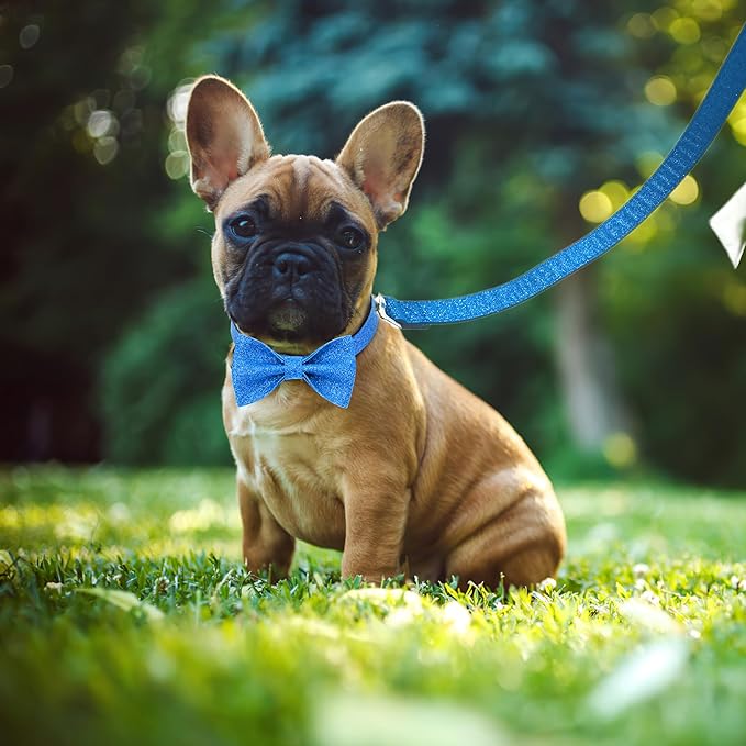 Bling Bow Tie Dog Collar and Leash Set, Cute Blue Boy Dog Collar with Bow and 5ft Leash for Small Medium Dogs Daily Walking or Holiday Party (Neck fit 11-16’’)