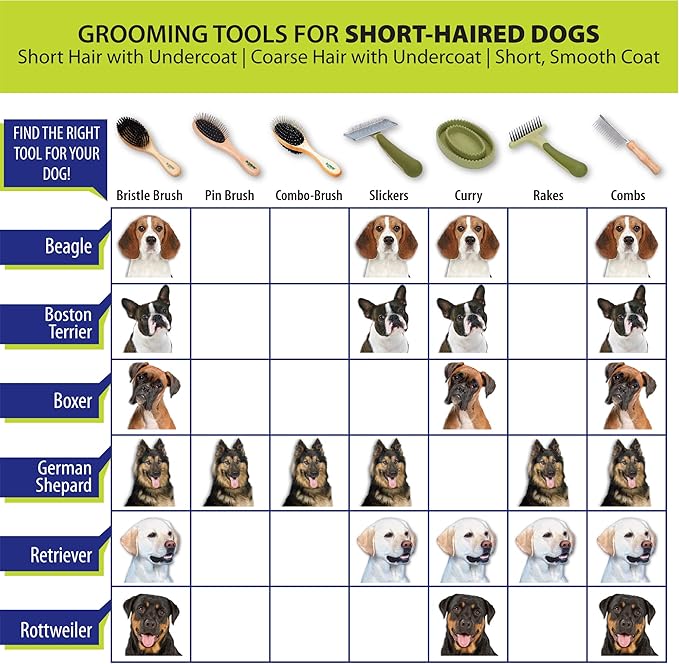 Coastal Pet Safari Dog Self-Cleaning Slicker Brush - Dog Deshedding Brush - Prevents Mats and Tangled Hair - For Dogs with Short or Long Hair - Medium - 4.25" x 4.06"