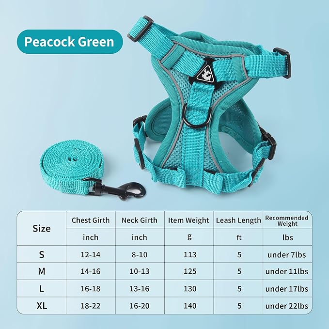 No Pull Dog Harnes with 5FT Dog Basic Leash, Breathable Soft Sandwich Air Mesh, Triangle Stable Ring, Reflective Stripes, Lightweight Pet Vest Harness for Small Dogs Cats Kitten Green S