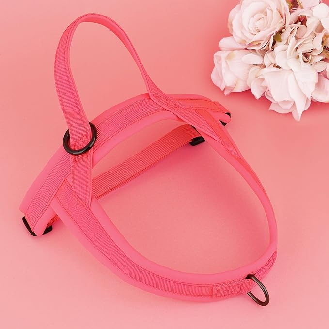 Beirui No Pull Dog Harness for Small Medium Dogs Puppies, Soft Neoprene Quick Fit Harness with Durable Front Clip & Back Clip, Lightweight Easy for Daily Walking (Pink,S)