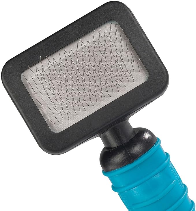 Master Grooming Tools Ergonomic Slicker Brushes — Molded Brushes for Grooming Dogs - Extra Small, 2¾" x 2", Teal/Black