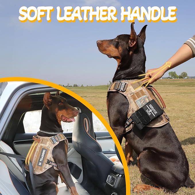 Service Dog Vest - HEYCAHVA Tactical Dog Harness Full Metal Buckles Dog Vest for Large Medium Dog Reflective No Pull Dog Harness with Leather Handle, Hook & Loop for Hiking Training (Desert Camo, XL)