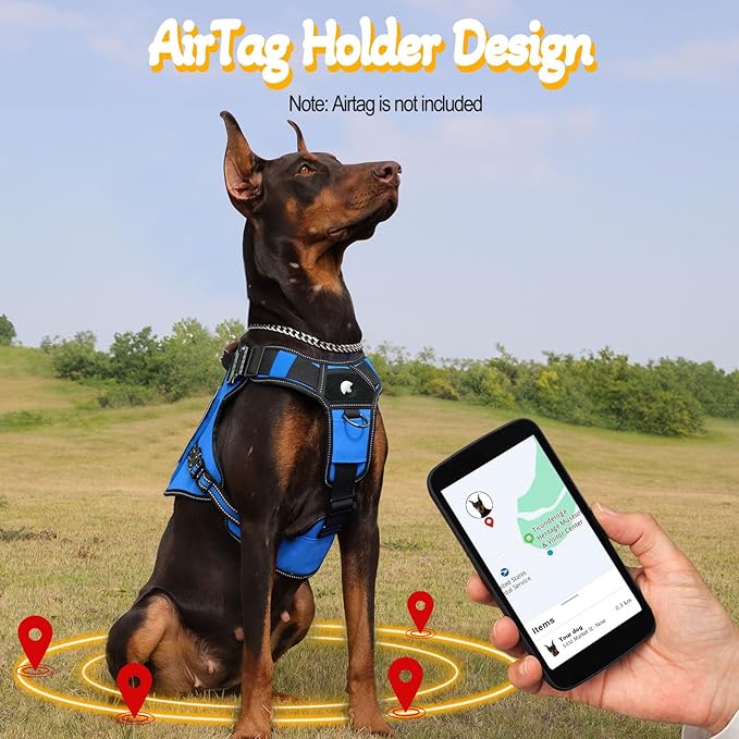 Service Dog Vest - HEYCAHVA Tactical Dog Harness Full Metal Buckles Dog Vest for Large Medium Dog Reflective No Pull Dog Harnesses with Leather Handle, Hook & Loop for Hiking Training (Blue, L)