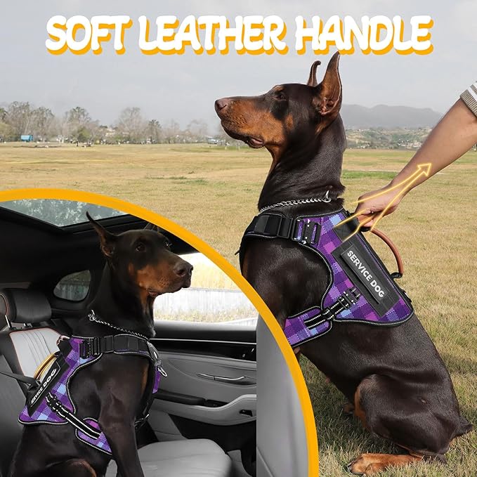 Tactical Dog Harness - HEYCAHVA Service Dog Vest Full Metal Buckles Dog Vest for Medium Large Dog Reflective No Pull Dog Harnesses Vest with Leather Handle, Hook & Loop for Hiking Training (Purple, M)