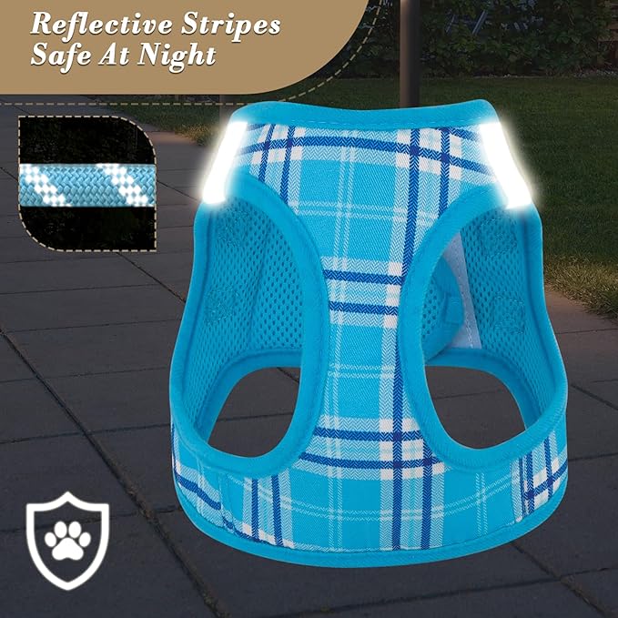Athena Collection Step-in Dog Harness with 5 ft Leash, Medium Dog Harness Leash Set Large No Pull Dog Vest Harness with Reflective Strips Adjustable Velcro, Easy Walk Dog Harness, Blue