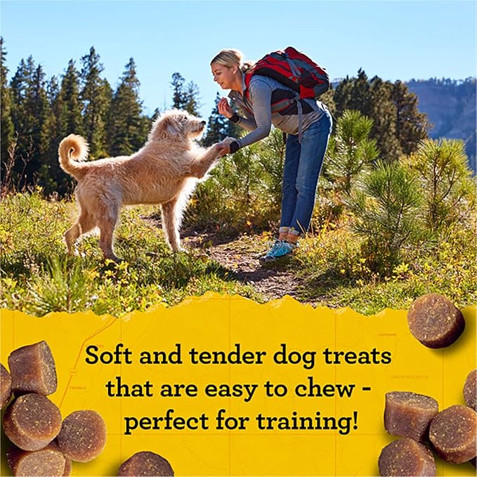 Zuke's Mini Naturals Adult Dog Training Treats, Peanut Butter & Oats Recipe with Vitamins & Minerals, A+ Training Treats for Adult Dogs, 6 OZ Bag (Pack of 3)