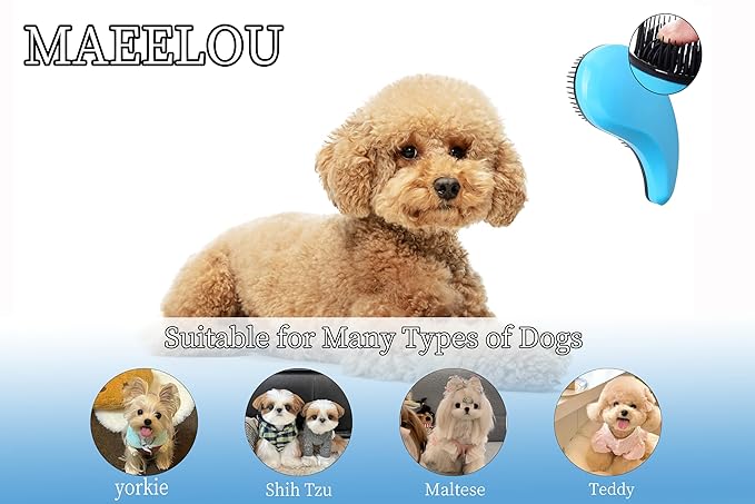 Puppy Brush for Small Dogs - Soft Dog Brush - Perfect Yorkie, Shih Tzu, Maltipoo & Maltese Grooming - Gentle Dog Hair Remover Brush for Easy Pet Hair Removal & Grooming at Home (Blue)