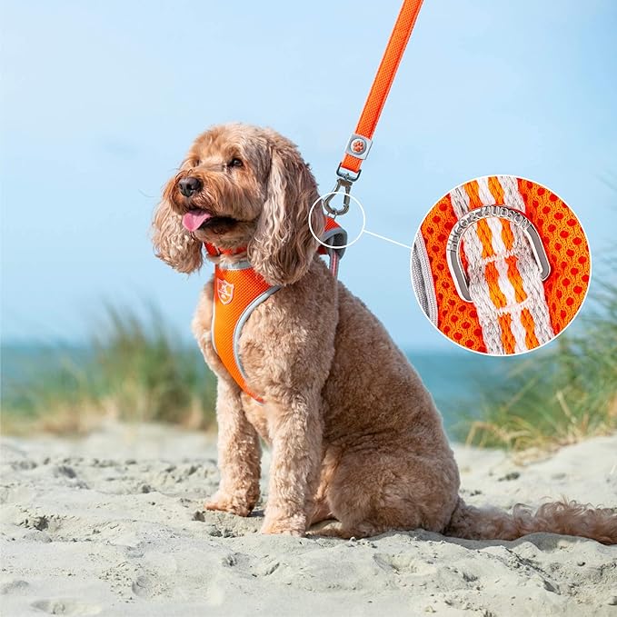 HUGO & HUDSON Dog Harness No-Pull Pet Harness Adjustable Quick Dry Mesh Padded Vest, Orange, XS