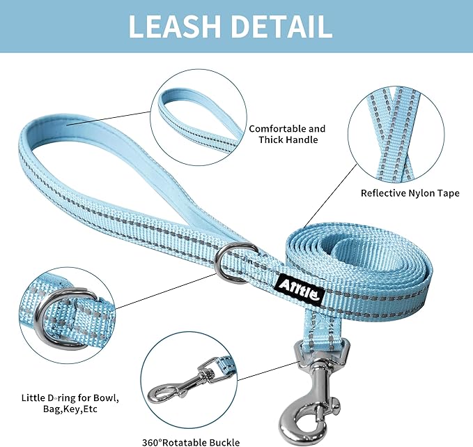AIITLE Step in Dog Harness and Leash Set - Spring No Pull Escape Proof Vest Harnesses with Soft Mesh and Reflective Bands, Adjustable Pet Outdoor Harnesses for Small and Medium Dogs Blue M