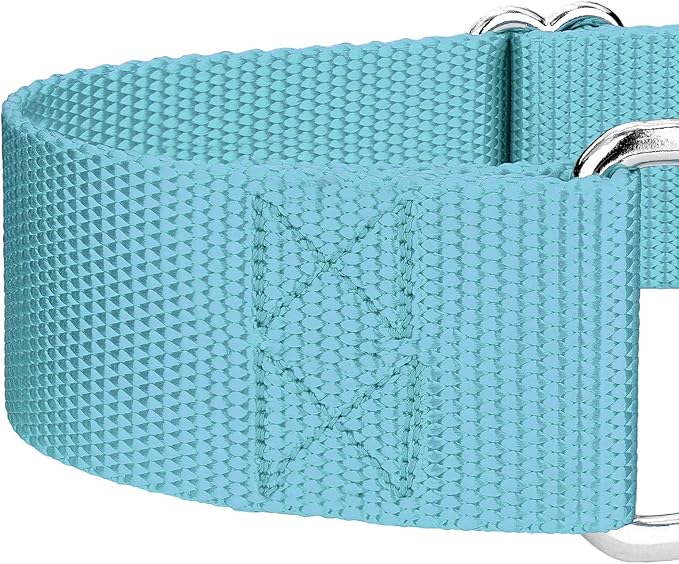 Country Brook Petz 1 1/2 Inch Martingale Heavy Duty Nylon Adjustable Dog Collar for Small, Medium, Large Breeds - Vibrant 17 Color Selection (Ocean Blue, Medium)