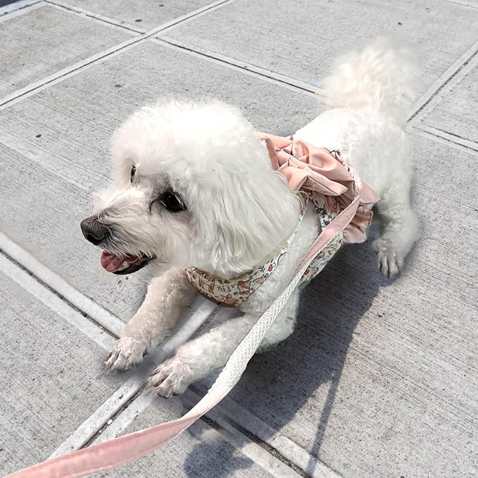 Small Medium Size Dog Harness and Leash Set with Bow Knot,No Pull Pet Floral Harnesses with D-Ring Soft Mesh Dog Harness Vest Set Escape Proof Harness for Dogs Cats Girl or Boy (L)