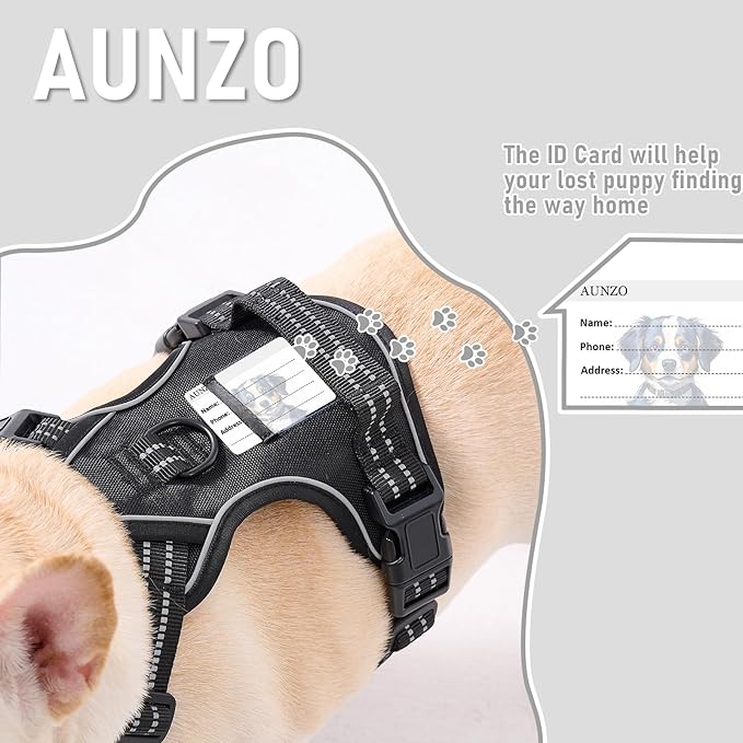 Extra Small Dog Vest Harness, No-Pull Pet Harness with 2 Leash Clips, Adjustable Soft Padded Dog Vest, Reflective No-Choke Pet Oxford Vest with Easy Control Handle for XSmall Dog Breeds, Black, XS