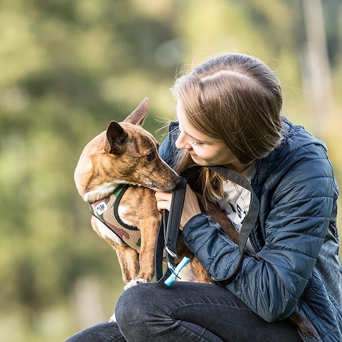 Curli Vest Harness Air-Mesh Skyblue S