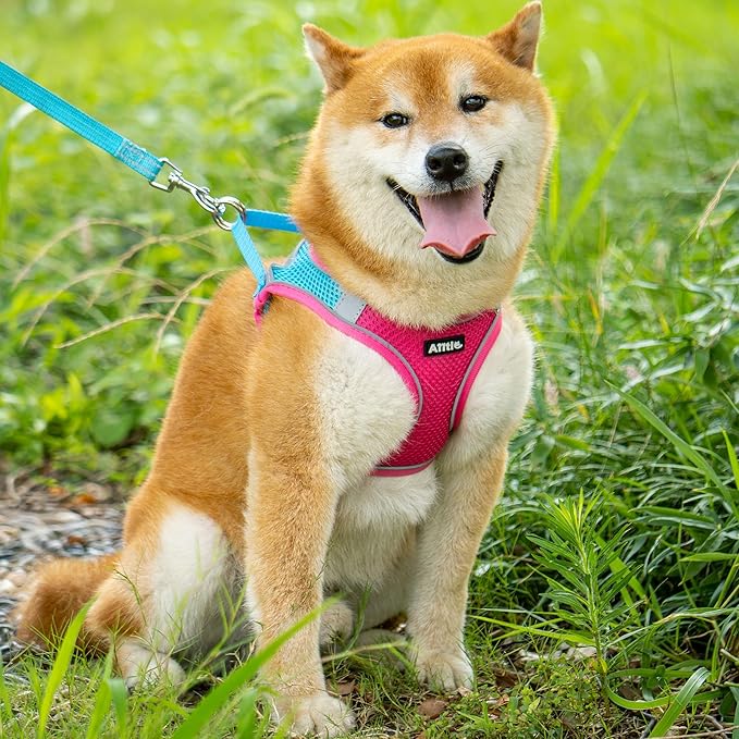 AIITLE Escape Proof Dog Harness - Step in Adjustable Dog Harness No Choke Over with Breathable Mesh and Quick-Release Buckle for Spring- Outdoor Walking, Camping, Training for Medium Dogs Hot Pink XL