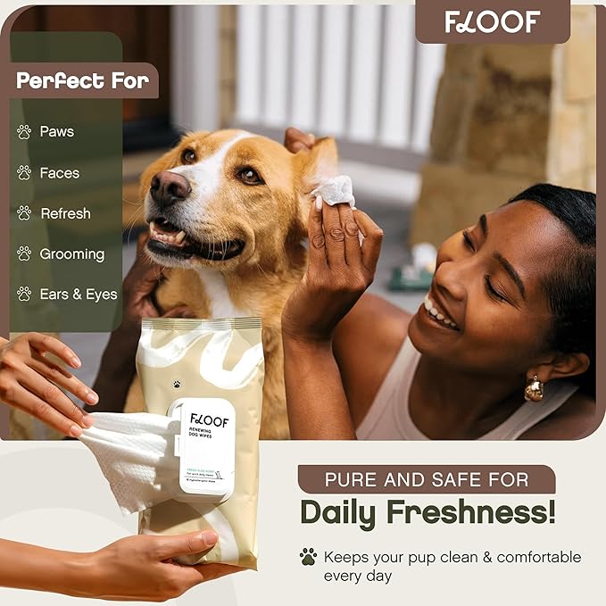 Floof Hypoallergenic Dog Wipes – Natural Aloe Grooming Wipes for Paws Face Ears Eyes & Bum – Vet-Formulated Extra Thick Safe for Puppies & Adult Dogs – 216 Count