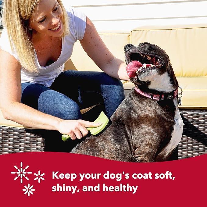 Coastal Pet Safari Curved Firm Slicker Brush - For Dog Grooming and Detangling All Hair Types - 6.5" x 3.06"