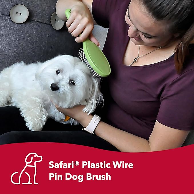 Coastal Pet Safari Wire Brush with Plastic Handle - Grooming Brush for Short and Long Pet Hair - No-Slip Handle - Compatible with Safari Tools - 8.5" x 2.06"