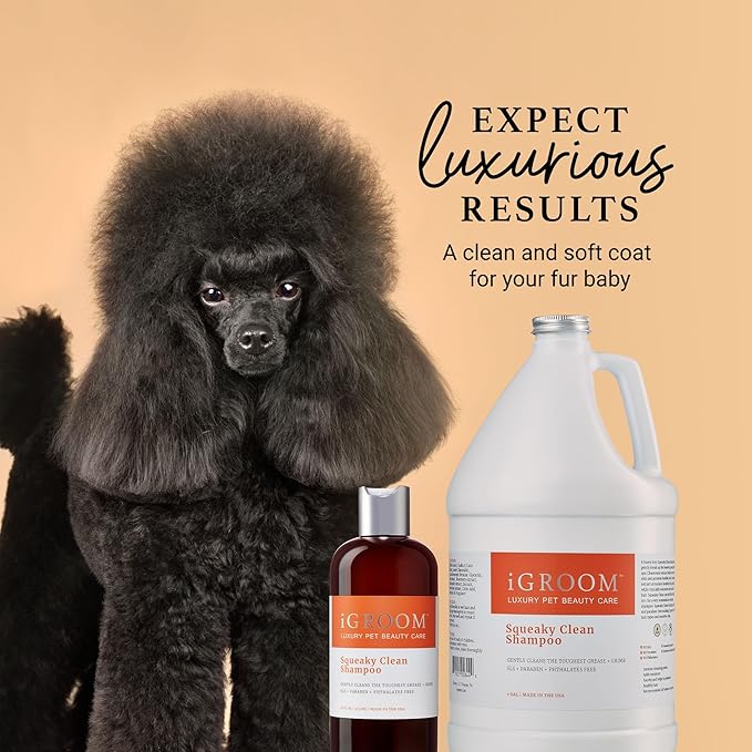 iGroom Squeaky Clean Dog Shampoo, Luxury Pet Beauty Care, Intense Cleaning Power, Chamomile Extracts Sooth Skin, Made in USA (1 GAL)