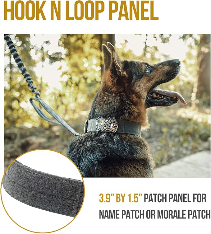 OneTigris Military Adjustable Dog Collar with Metal D Ring & Buckle 2 Sizes (L, Grey)